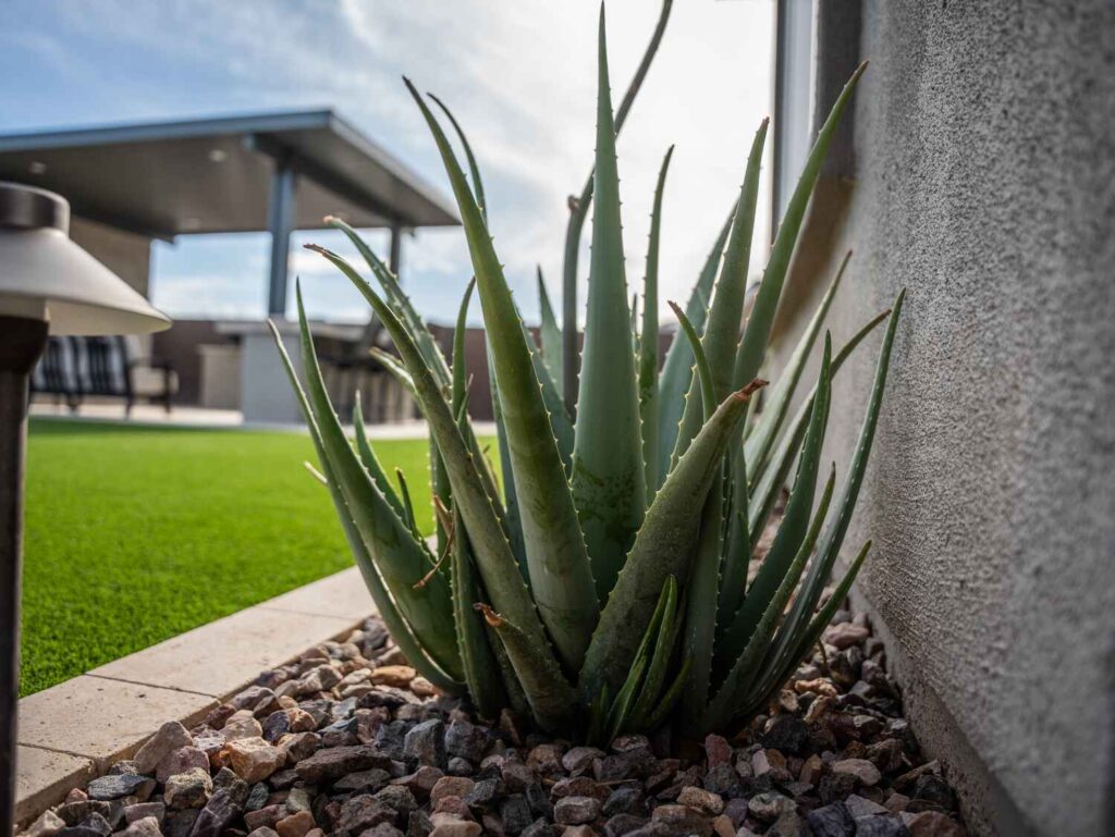 alternatives to rock yards in Arizona