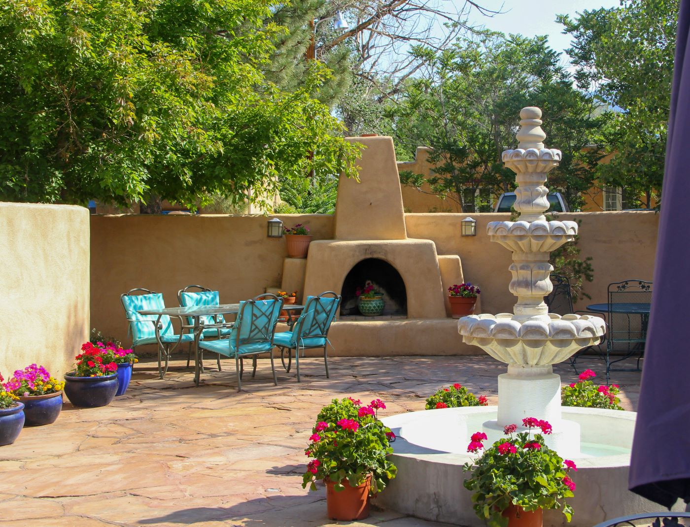 desert landscaping
